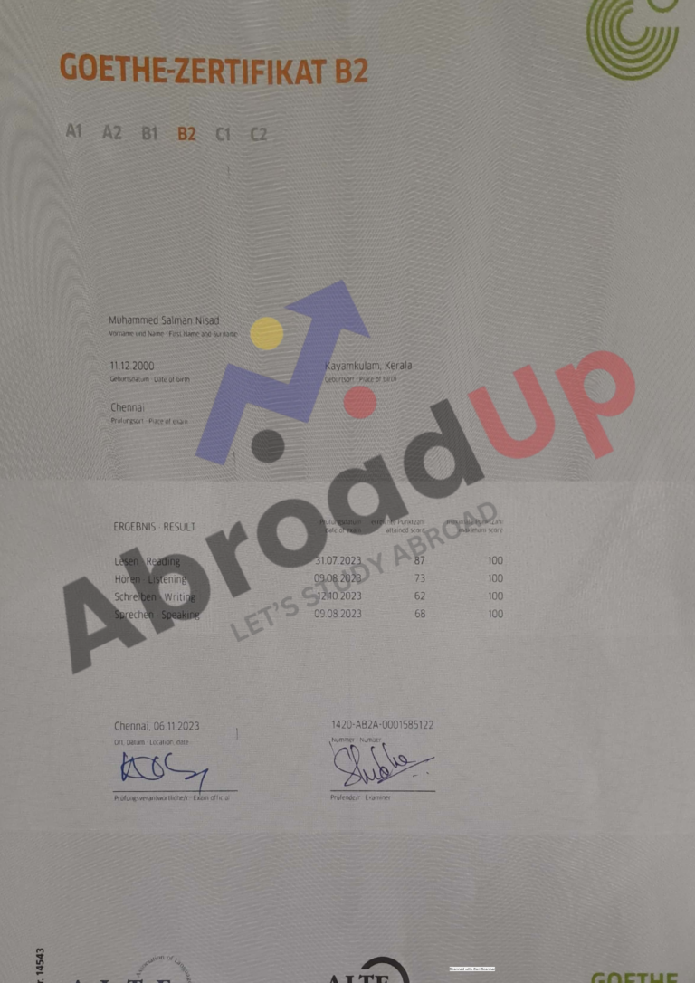 B2_Goethe_Salman.pdf